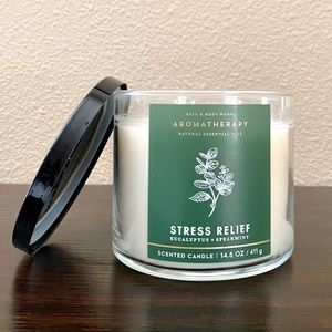 Bath & Body Works Stress Relief Eucalyptus and Spearmint Candle